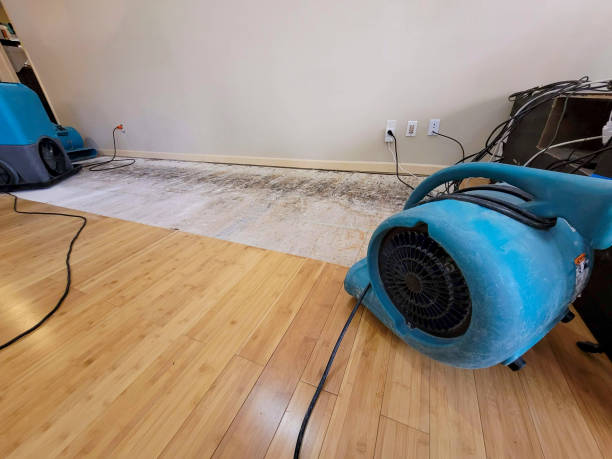 Professional Sewage Cleanup technician working in Middleton, MI